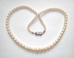 Sans Prix de Réserve - Collier Or blanc 14 kt - Perles Akoya, Nieuw