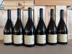 2023 Terlano Winkl Sauvignon Blanc - Trentin-Haut-Adige, Nieuw
