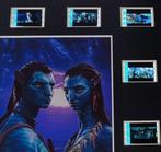 Avatar - Framed Film Cell Display with COA, Nieuw