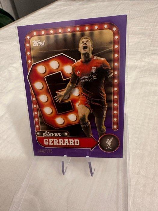 Premium UCL Lot – Numbered Parallels /175 /225 /250 +, Verzamelen, Stickers