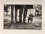 Elliott Erwitt (1928–2018) - New York City, 1974, Antiek en Kunst, Kunst | Schilderijen | Modern