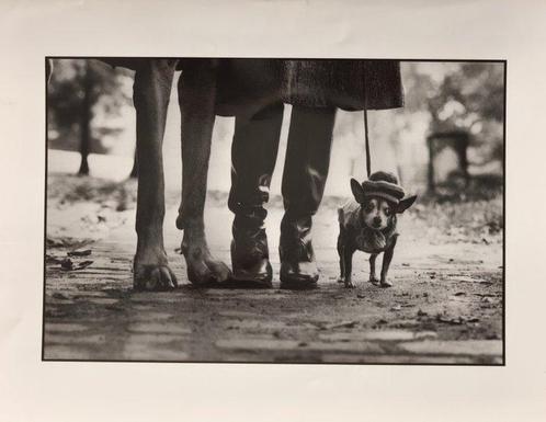 Elliott Erwitt (1928–2018) - New York City, 1974, Antiek en Kunst, Kunst | Schilderijen | Modern