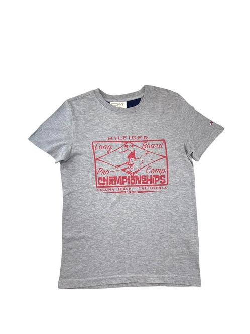 Tommy Hilfiger heren T-Shirt Maat S, Vêtements | Hommes, T-shirts, Enlèvement ou Envoi