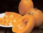 Melonette jaspee de vendee - 250 zaden vende