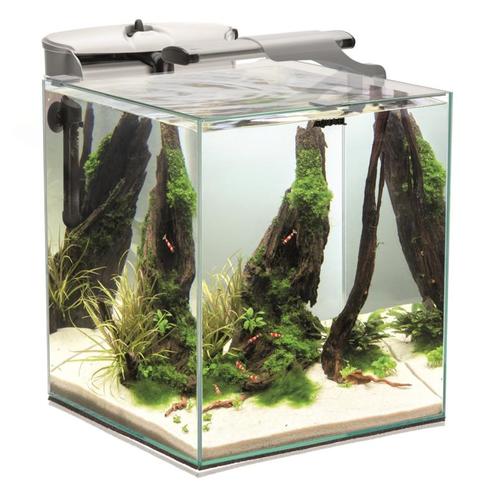 Osaka  Nano Aquarium Cube 49ltr wit / Scapers tank, Animaux & Accessoires, Poissons | Aquariums & Accessoires, Enlèvement ou Envoi