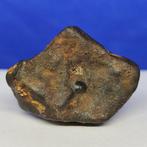 CHONDRULE IN RELIËF & fusiekorst! METEORITE CHONDRITE, Collections