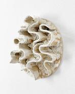 Yulia Lavrova - Blossom Believers, Antiek en Kunst