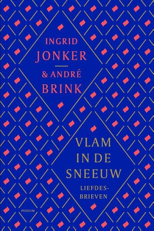 Vlam in de sneeuw 9789057597756 André Brink, Boeken, Literatuur, Gelezen, Verzenden