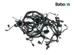 Kabelboom BMW R 1200 R 2011-2014 (R1200R 11) (8521377), Motoren, Onderdelen | BMW, Verzenden, Gebruikt