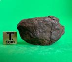 Stuk primitieve achondriet Winonaiet-meteoriet gecombineerd