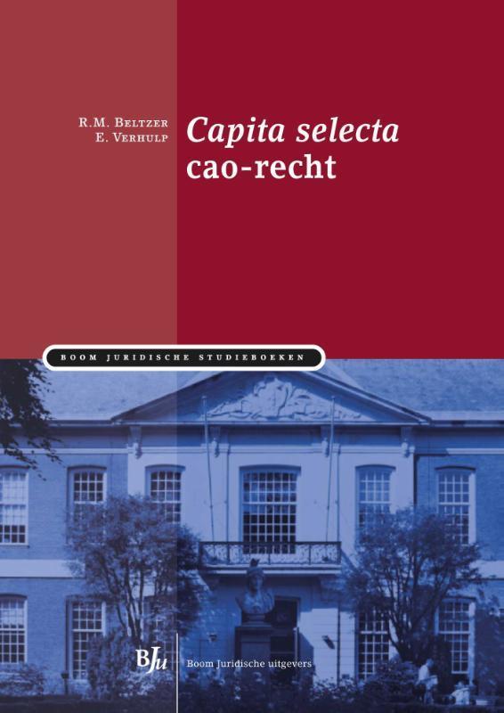 Capita selecta cao-recht / Boom Juridische studieboeken, Boeken, Wetenschap, Gelezen, Verzenden