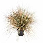 Kunstplant Onion Gras Herfst 70 cm, Verzenden
