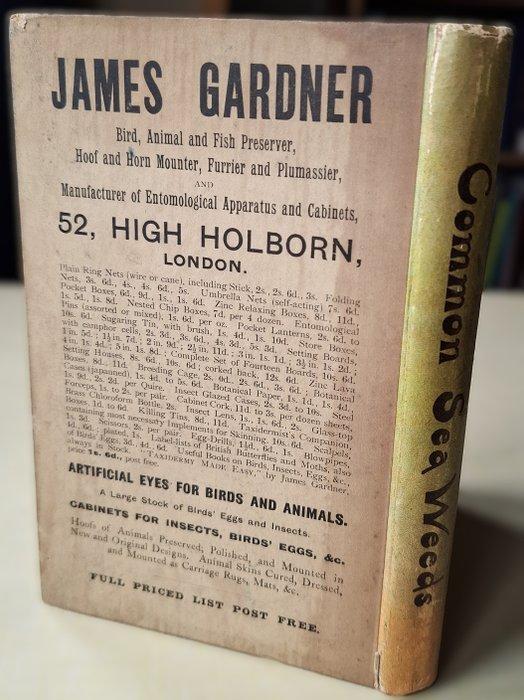 Mrs Clarke - The Common Seaweeds of the British Coast - 1880, Antiek en Kunst, Antiek | Boeken en Manuscripten
