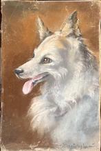 Cesare Bentivoglio (1868-1952) - Cane