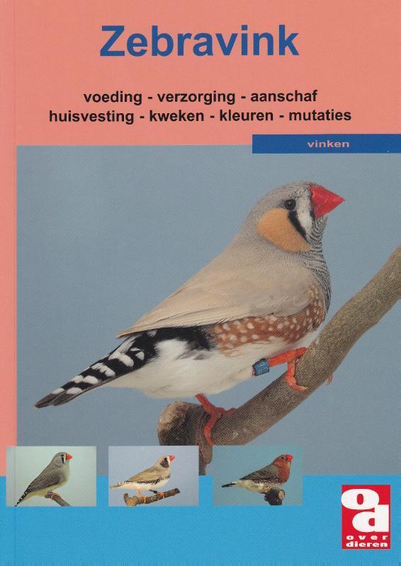 De zebravink / Over Dieren / 095 9789058211002 H. Kloren, Boeken, Hobby en Vrije tijd, Zo goed als nieuw, Verzenden