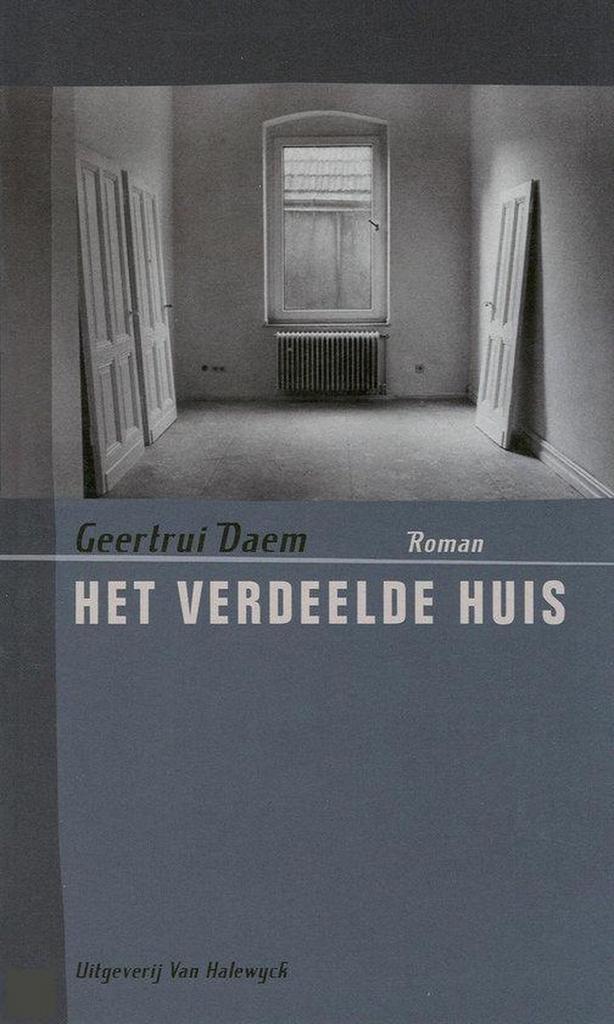 Het verdeelde huis 9789056175535 G. Daem, Boeken, Romans, Gelezen, Verzenden