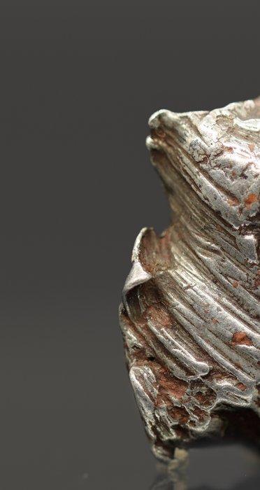 Remarkabele beeldhouwkunst Sikhote Alin Ijzeren meteoriet •, Collections, Minéraux & Fossiles