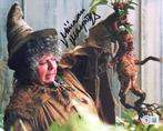 Harry Potter - Miriam Margolyes (Professor Sprout) -, Collections