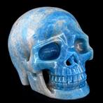 Zeldzame blauwe trolleiet van hoge kwaliteit schedel -, Verzamelen