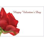 Bloemenkaartjes happy valentines day rode roos pakje 50, Nieuw