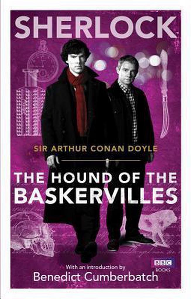 Sherlock The Hound Of The Baskervilles 9781849904094, Livres, Langue | Anglais, Envoi