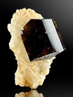 tormaline var. Liddicoatite Mineralencollectie - Hoogte: 3