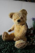 Engelse teddybeer, pluche, 1960-1970 - Teddybeer - Verenigd, Antiek en Kunst