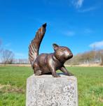 Beeldje - A lifelike bronze squirrel - Brons, Antiek en Kunst