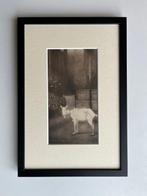 Jan Mankes (1889-1920) - Oude geit