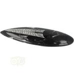 Orthoceras Fossiel geslepen Nr 19 - 111 gram, Verzenden, Nieuw