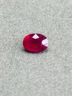 1 pcs  Robijn  - 0.83 ct - Gemological Institute of America, Nieuw
