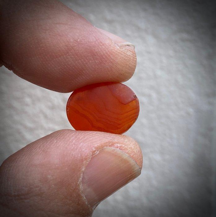 Antiek Zegelamulet - Antiek islamitisch amulet in cornelian, Antiek en Kunst, Kunst | Niet-Westerse kunst