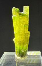 Tourmaline Cristal - Hauteur : 6.3 cm - Largeur : 2 cm- 29 g, Collections, Minéraux & Fossiles