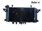 Radiateur Suzuki SFV 650 Gladius (SFV650), Motoren, Verzenden, Nieuw