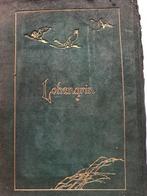 Willy Pogany - The Tale of Lohengrin Knight of the Swan -