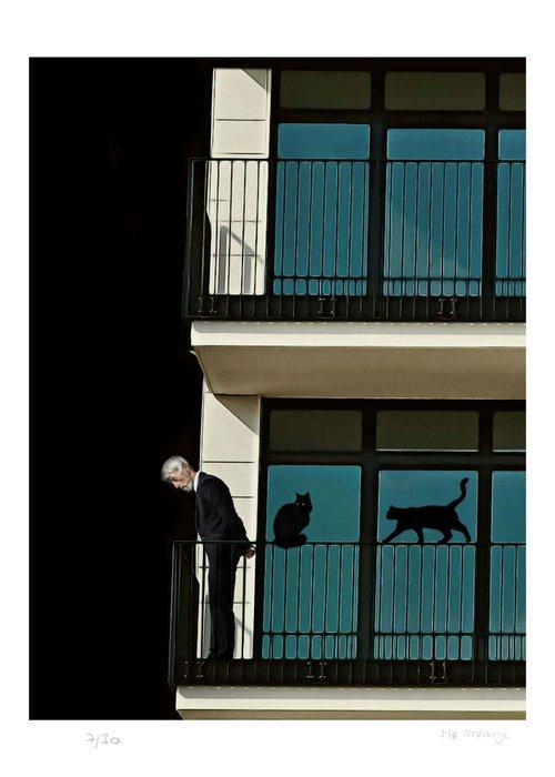Mr Strange - Le Vieil Homme et ses Chats, Antiquités & Art, Art | Objets design