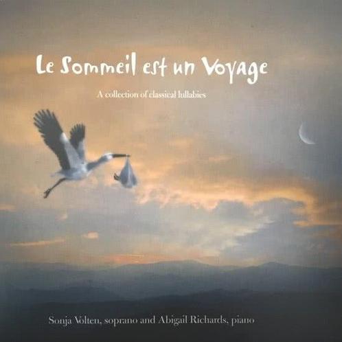 Sonja Volten - Le Sommeil est un Voyage op CD, CD & DVD, DVD | Autres DVD, Envoi