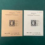 France 1938 - Wit en getint dans une carte commémorative de, Postzegels en Munten, Gestempeld