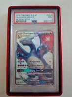 Pokémon - 1 Graded card - Dracaufeu #SV49 Illustration
