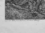 Italië - Capri - Napels; Friedrich Rehberg (1758-1835) -, Boeken, Nieuw