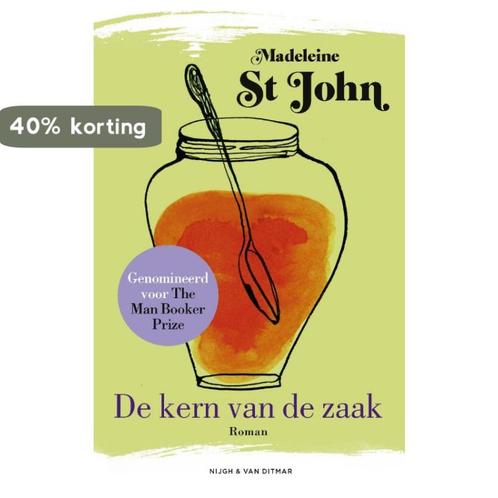 De kern van de zaak 9789038807171 Madeleine St John, Boeken, Romans, Gelezen, Verzenden