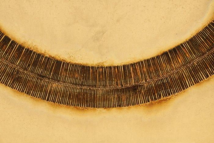 Bernard Aubertin (1934-2015) - Dessin de Feu Circulaire, Antiek en Kunst, Kunst | Schilderijen | Modern