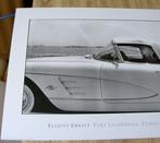 Elliotte Erwitt - Fort Lauderdale, Florida,1993 - Années