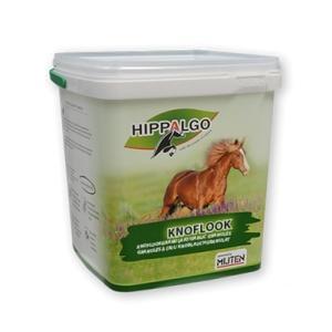 Knoflook - 3kg, Dieren en Toebehoren, Paarden en Pony's | Overige Paardenspullen