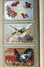 Dieren van allerlei pluimage - Ansichtkaart album (168) -