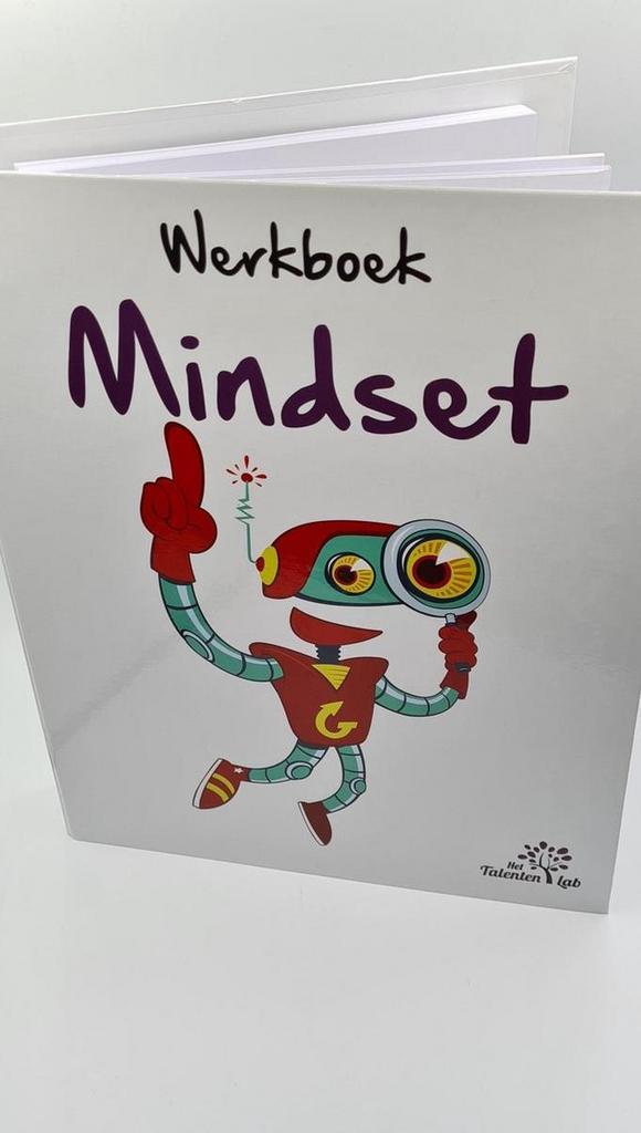 Werkboek Mindset 9789082691016 F. Raeijmaekers, Boeken, Schoolboeken, Gelezen, Verzenden