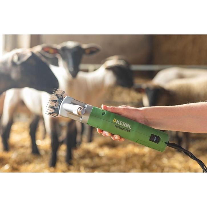 Constanta 4, tondeuse ovin avec peignes 13/4 dt.,400w -, Dieren en Toebehoren, Stalling en Weidegang