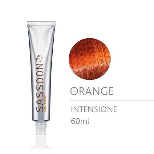Sassoon Chromatology Intensitone 60ml (Verf (permanent)), Handtassen en Accessoires, Uiterlijk | Haarverzorging, Nieuw, Verzenden