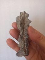 Spectaculaire Fulguriet. Topkwaliteit. Een cadeau: arena uit