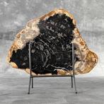 C - Prachtige plak versteend hout op een op maat gemaakte